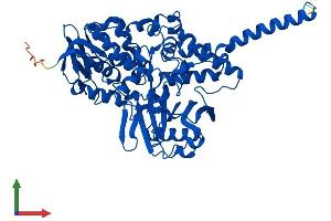 AlphaFold protein structure predicition of Human Recombinant MAOA Protein, UniprotID P21397
