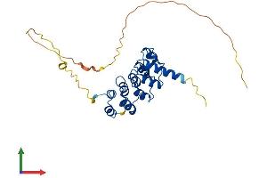 AlphaFold protein structure predicition of Human Recombinant RFXANK Protein, UniprotID O14593