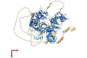 AlphaFold protein structure predicition of Human Recombinant TDRD1 Protein, UniprotID Q9BXT4