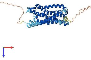 Chemokine (C-C Motif) Receptor 3 (CCR3) (AA 1-355) protein (His tag)