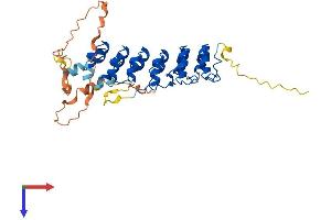 AlphaFold protein structure predicition of Mouse Recombinant Nfkbie Protein, UniprotID O54910
