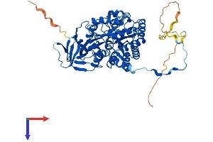 AlphaFold protein structure predicition of Mouse Recombinant Dpysl4 Protein, UniprotID O35098