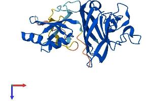 AlphaFold protein structure predicition of Mouse Recombinant Ccs Protein, UniprotID Q9WU84