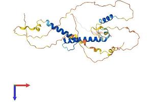 AlphaFold protein structure predicition of Human Recombinant MYOD1 Protein, UniprotID P15172