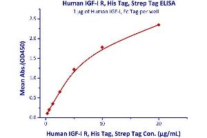 Immobilized Human IGF-I, Fc Tag (Cat# IG1-H4269) at 5μg/mL (100 µl/well),can bind Human IGF-I R, His Tag (Cat# IGR-H5229) with a linear range of 0.