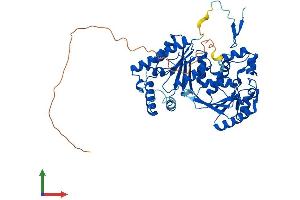 AlphaFold protein structure predicition of Human Recombinant PFKFB3 Protein, UniprotID Q16875
