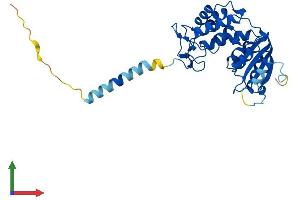 AlphaFold protein structure predicition of Human Recombinant CD38 Protein, UniprotID P28907