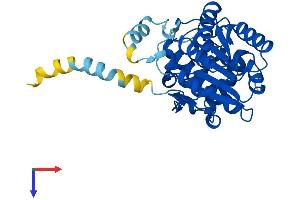 AlphaFold protein structure predicition of Human Recombinant RDH11 Protein, UniprotID Q8TC12