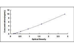 ELISA image for Kruppel-Like Factor 4 (Gut) (KLF4) ELISA Kit (ABIN416925)