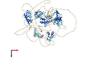 AlphaFold protein structure predicition of Mouse Recombinant Gtf2ird1 Protein, UniprotID Q9JI57