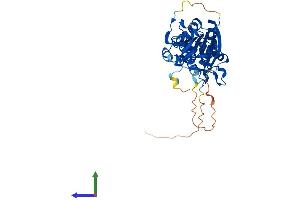 AlphaFold protein structure predicition of Human Recombinant HENMT1 Protein, UniprotID Q5T8I9