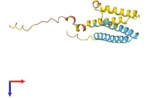 AlphaFold protein structure predicition of Mouse Recombinant Cmtm5 Protein, UniprotID Q9D6G9