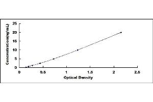 Typical standard curve (CD47 Kit ELISA)