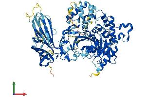 AlphaFold protein structure predicition of Mouse Recombinant Pla2g4b Protein, UniprotID P0C871