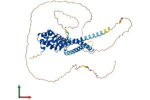 AlphaFold protein structure predicition of Mouse Recombinant Tom1l1 Protein, UniprotID Q923U0