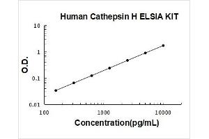 Typical Standard Curve