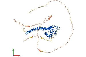 AlphaFold protein structure predicition of Mouse Recombinant Tspyl1 Protein, UniprotID O88852