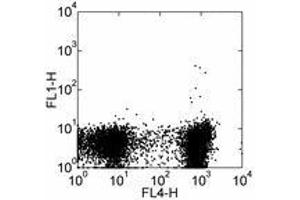 Image no. 2 for anti-Sialophorin (SPN) antibody (FITC) (ABIN473770) (CD43 anticorps  (FITC))