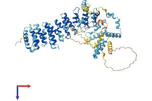 AlphaFold protein structure predicition of Mouse Recombinant Sdad1 Protein, UniprotID Q80UZ2