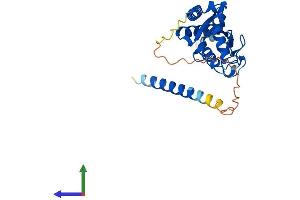 AlphaFold protein structure predicition of Human Recombinant UBE2J2 Protein, UniprotID Q8N2K1