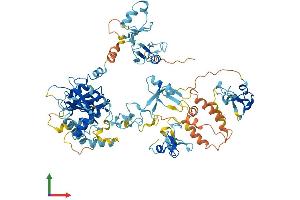AlphaFold protein structure predicition of Human Recombinant ZFYVE1 Protein, UniprotID Q9HBF4