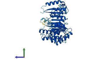 AlphaFold protein structure predicition of Human Recombinant FBXO39 Protein, UniprotID Q8N4B4