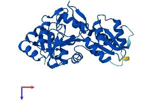 AlphaFold protein structure predicition of Mouse Recombinant Pdxp Protein, UniprotID P60487