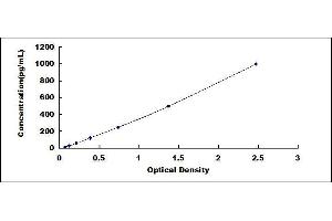 Image no. 1 for Nerve Growth Factor (NGF) ELISA Kit (ABIN5665025)