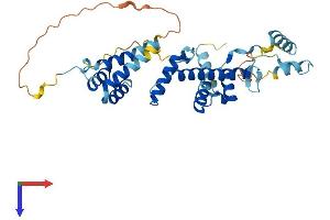 AlphaFold protein structure predicition of Human Recombinant TADA1 Protein, UniprotID Q96BN2