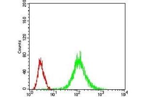 Flow cytometric analysis of Jurkat cells using MAP2K5 mouse mAb (green) and negative control (red). (MAP2K5 anticorps  (AA 63-180))