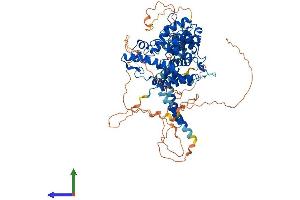 AlphaFold protein structure predicition of Human Recombinant PDE4B Protein, UniprotID Q07343