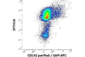 Flow cytometry multicolor surface staining pattern of human PHA stimulated peripheral blood mononuclear cells using anti-human CD142 (HTF-1) purified antibody (concentration in sample 4 μg/mL, GAM APC) and SYTO 16.