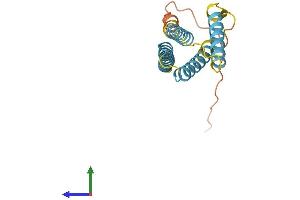 AlphaFold protein structure predicition of Mouse Recombinant Cmtm7 Protein, UniprotID Q9ESD6