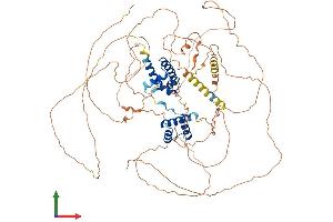 AlphaFold protein structure predicition of Mouse Recombinant Pou2f1 Protein, UniprotID P25425