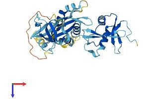 AlphaFold protein structure predicition of Human Recombinant NCF4 Protein, UniprotID Q15080