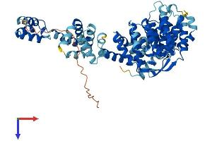 AlphaFold protein structure predicition of Mouse Recombinant Nelfcd Protein, UniprotID Q922L6