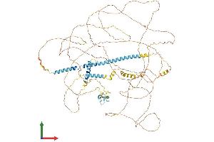 AlphaFold protein structure predicition of Human Recombinant ZC3H18 Protein, UniprotID Q86VM9