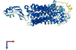 AlphaFold protein structure predicition of Mouse Recombinant Slc22a4 Protein, UniprotID Q9Z306
