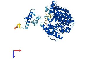 AlphaFold protein structure predicition of Mouse Recombinant Elp3 Protein, UniprotID Q9CZX0