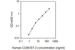 ELISA image for CD86 (CD86) ELISA Kit (ABIN4882265) (CD86 Kit ELISA)