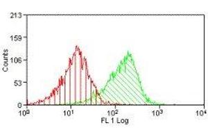 Flow Cytometry (FACS) image for anti-Solute Carrier Family 3 (Activators of Dibasic and Neutral Amino Acid Transport), Member 2 (SLC3A2) antibody (ABIN2472890)