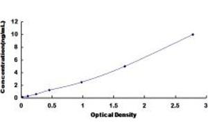 Four and A Half LIM Domains 1 (FHL1) ELISA Kit