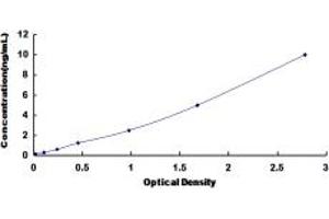 Typical standard curve (FHL1 Kit ELISA)