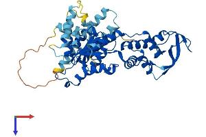 AlphaFold protein structure predicition of Human Recombinant VPS4A Protein, UniprotID Q9UN37