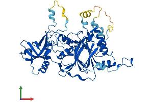 AlphaFold protein structure predicition of Mouse Recombinant Pold2 Protein, UniprotID O35654