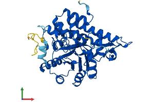 AlphaFold protein structure predicition of Human Recombinant HAO1 Protein, UniprotID Q9UJM8