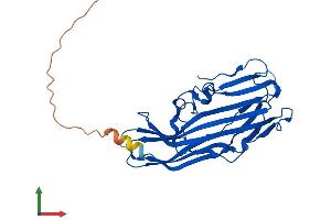 AlphaFold protein structure predicition of Human Recombinant FAM78A Protein, UniprotID Q5JUQ0