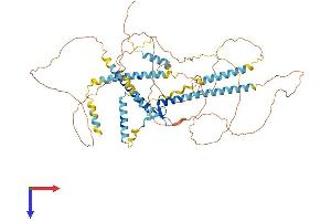 AlphaFold protein structure predicition of Mouse Recombinant Gatad2b Protein, UniprotID Q8VHR5