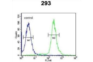 Flow Cytometry (FACS) image for anti-Guanylate Binding Protein 7 (GBP7) antibody (ABIN3002164) (GBP7 anticorps)