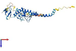 AlphaFold protein structure predicition of Mouse Recombinant Rnf144b Protein, UniprotID Q8BKD6
